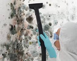 Best Mold Remediation for Healthcare Facilities  in Lipatria, CA